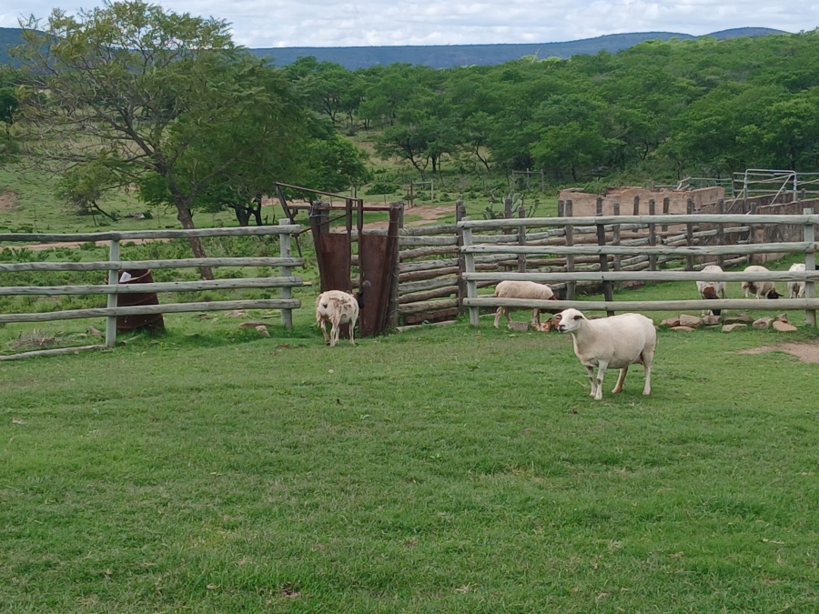 0 Bedroom Property for Sale in Stutterheim Rural Eastern Cape